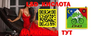 стаф Тара